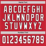 Custom Red White-Black Hockey Jersey - Image 4